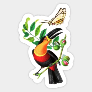 colorful Bird, flower and butterfly Sticker